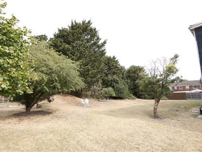 Picture 11